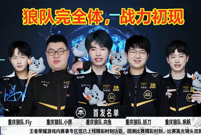 对比分析