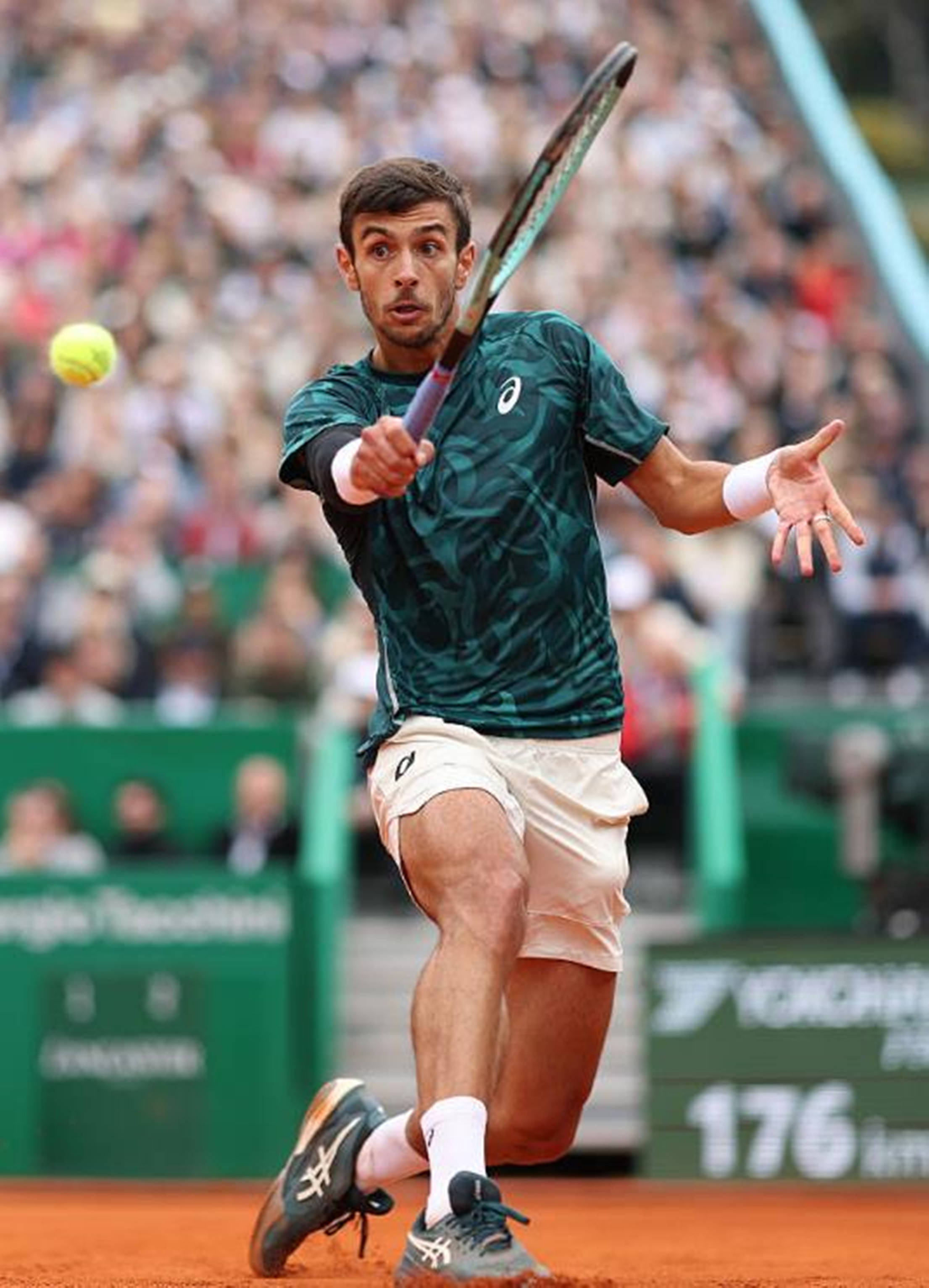 球运动的动 球运动的动