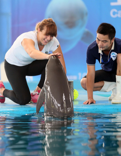 面占据了 面占据了