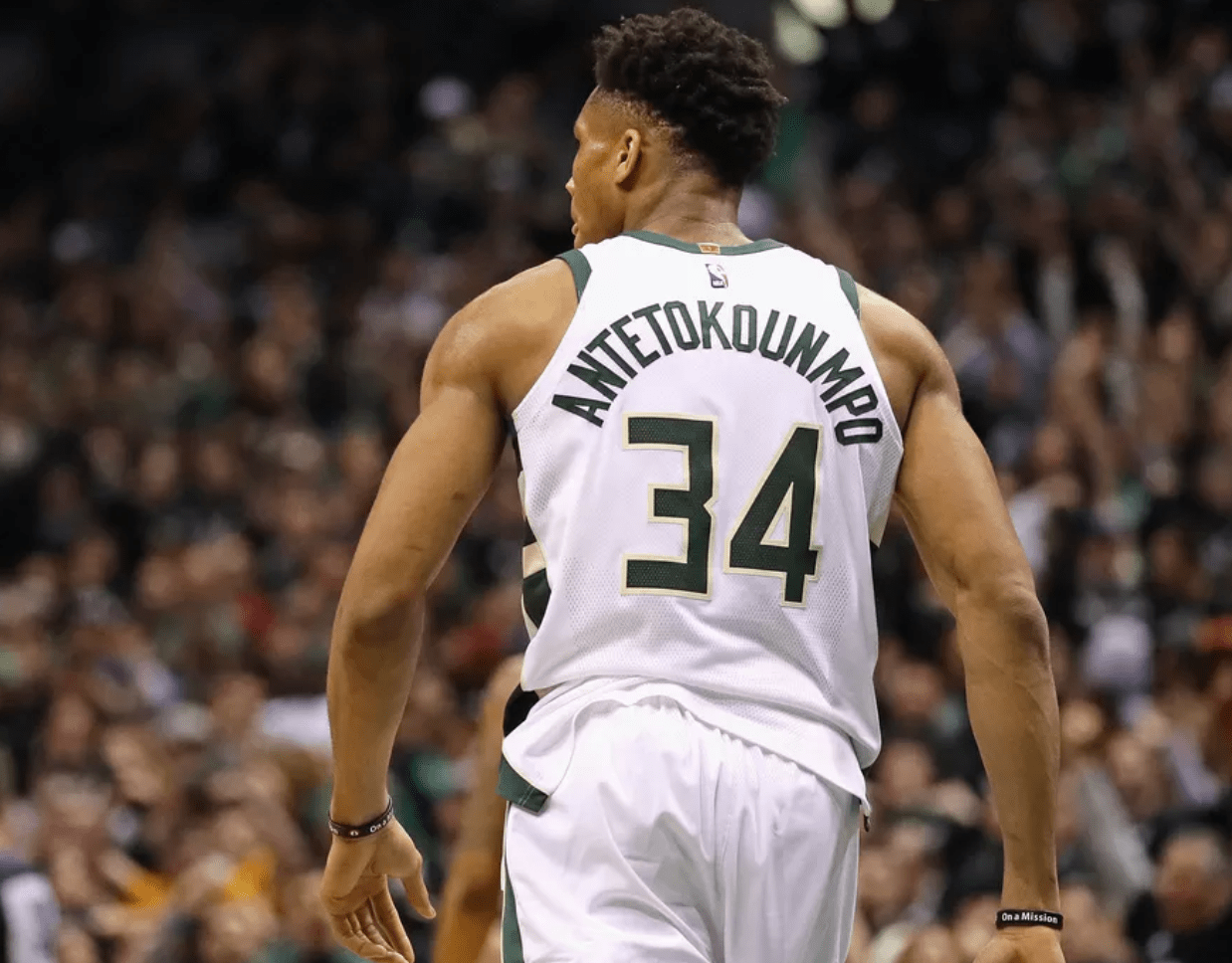 实质等同于 实质等同于