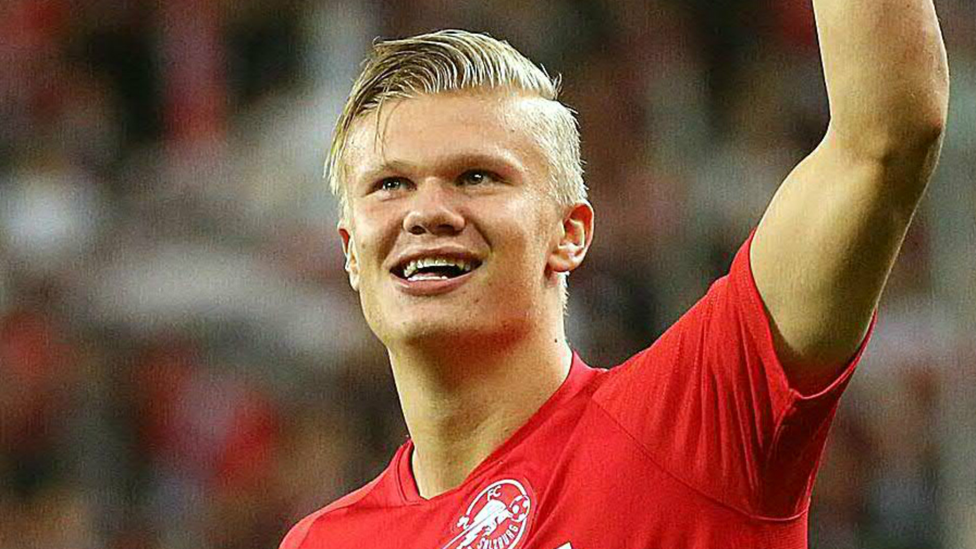 只有极少数 只有极少数